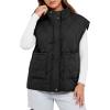 imageCicy Bell Womens Quilted Puffer Vest Stand Collar Zip Up Winter Lightweight Padded Gilet OuterwearBlack