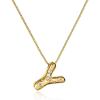 Y-Gold